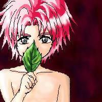 ���܂ɂ̓V�b�N��